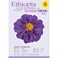 Strong Fragrance Group- (Green Beans) Guji Hambella Wamina Hanasheng Washed (This Product Is Green B