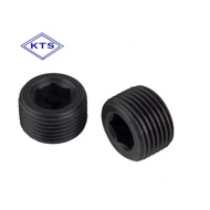 SET SCREW/SCREW PLUG/LOCK SCREW P-MSW