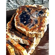 F0SIL MULTI COLOR WOOD AGATE STONE MATERIAL