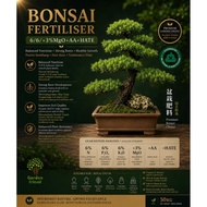 Podocarpus fertilizer Baja  bonsai luohan jawi 1kg