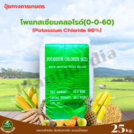 ปุ๋ย โพแทสเซียมคลอไรด์ 98% KCl Potassium Chloride ปุ๋ยเกล็ด 0-0-60 บรรจุ 25 กิโลกรัม