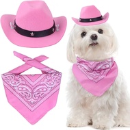 New Style Pink Pet Cowboy Hat Party Birthday Suit Cowboy Pet Supplies Western-Edge Curling Cowboy Sm