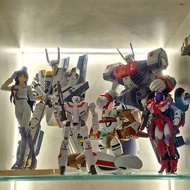 DX 超合金 超時空要塞Macross 1/48 VF-1S Valkyrie Roy Focker 初回版+TV ver. Super Parts Set」