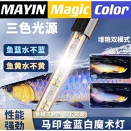 (MAYIN) ***READY STOCK*** 100% ORIGINAL Magic Color for MGBB and 24kgold 马印新品首款双模式金白蓝魔术灯/金龙增艳灯