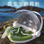 Scientific Canister Space Breeding Chamber Silkworm Baby Breeding Cabin Children's Student Insect Ob