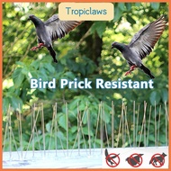 Stainless Steel Bird Repellent Outdoor Monkey Cat Repellent Rooftop Bird Resistant Jebak Burung驱鸟刺