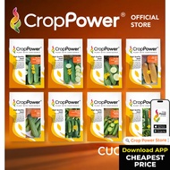 Benih Timun Cucumber seeds 黄瓜种子 CROP POWER DC171 DC272 DC282 DC777 DC1119 DC989 DC676 DC878 OC575