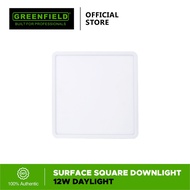 Greenfield Surface Square Downlight 12W Daylight