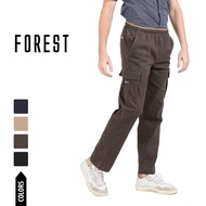 Forest Cotton Twill Stretchable Cargo Pants Men Cargo Long Pants Trousers | Seluar Lelaki Cargo Panjang - 10768