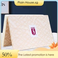 Foldable Seahorse 3-Fold Foam Mattress