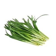 Biji Benih daun Kucai / Kuchai (100 seeds) / Chives seeds