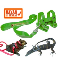 Tali Harness H [Size S] (HIJAU) Penuntun Hewan harnes Kecil Tupai Sugar Glider Landak Mini Anak Biaw