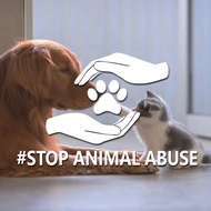 "#STOP ANIMAL ABUSE"stickers,To arouse public attention and action on animal abuse issues.For car mo