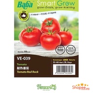 Vegetable Seed Biji Benih Baba VE-039 Benih Tomato/Tomato Red Rock Seed 耐热番茄