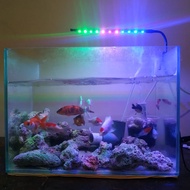 Lampu aquarium aquascape LED smd lampu ikan hias cupang channa lampu akuarium jepit kabel USB