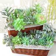 [Hot Sale]❀ DIY Artificial Succulent Flocked Plant Fake Cactus Lotus Home Garden Decor❀