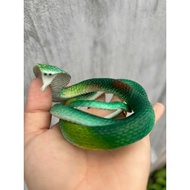 Fake plastic snake 75cm - Fake plastic toy