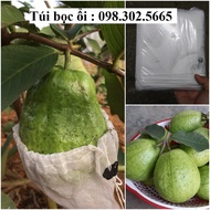 100 Túi Bọc Ổi na Giá Rẻ - Kích Thước 18x18 cm - Chất Liệu Lưới Mùng - Loại Dây Rút