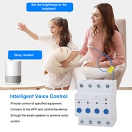 Fun~ WiFi Circuit Breaker APP Remote Control 4P Isolated Timing Smart Power Switch For Home Applianc