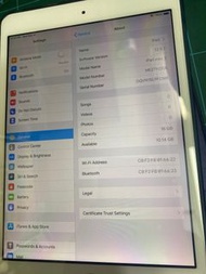 iPad mini2