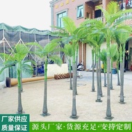 Small Coconut Tree View Tree Potted Plant Tree Simulation Large Decoration Inner Outer Planting Room