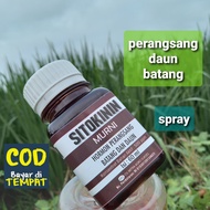 sitokinin murni 60 ml zpt hormon percepat tumbuh batang dan daun tunas sitokinin citokinin sitokinin
