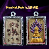 Drogan Dragon Kowloon Buddha Buddha 9 Buddha Naga Money Fortune Popularity Every Badness Transform G