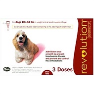 Revolution for dog 21 - 40 lbs (dogs 10 - 20 kg)