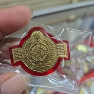 Magnetic BP3IP pin