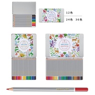 Lion (C1200/8) (C2400/8) (C3600/8) Oily Color Pencil (Painting Head) 12 Colors/24 Colors/36 Colors