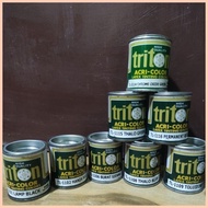 ♧ ☽ ❐ Triton Latex Tinting Color Paint