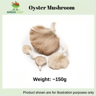 [Greencartsg] Fresh Vegetables - Oyster Mushroom