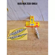 D8EA TIGER GL MEGAPRO ORIGINAL-BOYRENK RACINGBUSI NGK