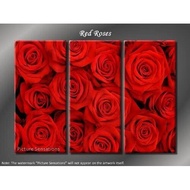 Framed frameless Huge 3 Panel Modern Art Floral Red Roses Giclee Canvas Print FBH
