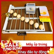 Máy Ấp Trứng 56 trứng gà - ngan - vịt khay nhôm đảo tự động