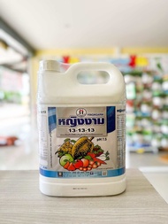 13-13-13 ปุ๋ยน้ำฟอสเฟต ตราหญิงงาม 5 ลิตร pH 7.5 ใบเขียวเข้มสมบูรณ์ ขยายใบ บำรุงต้น ขยายผลบำรุงผล