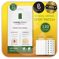 DERMA Tea Tree and Cica Spot Patch Mixed Spot Treatment / Hydrocolloid Clear Soothing Pimple Patches