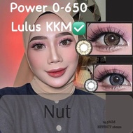 【New】NUT 14.5MM (eff 16MM) 6Month Disposable Korea Lens Free Lens