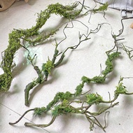 Dry Vines Moss Vines Simulation Rattans Large Tree Vines Foaming Vines Soft Plants Walls Window Land