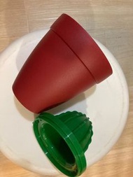 手動 檸檬 橙 榨汁 器 仙人掌 Citrus Lemon Orange Grapefruit Juicer Manual Squeezer