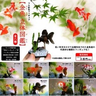 金魚立體圖鑑 現貨 全8種