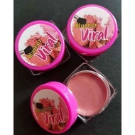 PEMERAH PIPI /BLUSHER VIRAL / MINI BLUSHER