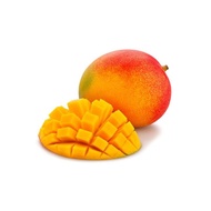 AUS R2E2 Mango - 1 Piece