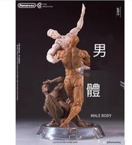 【現貨免運】Romankey X COWL 1/12 超可動 男素體 兵人偶 人體繪畫模特 接單