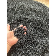 Combo of 2 kg of home-grown green black beans, a little leftovers