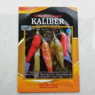 Benih bibit cabe Rawit KALIBER F1 10 gram