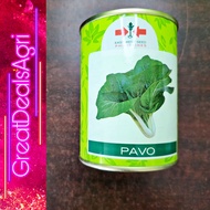 PAVO OPV PETCHAY SEEDS (100 GRAMS) EAST WEST SEEDS
