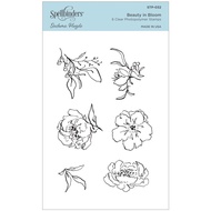 Spellbinders Clear Acrylic Stamps - Beauty in Bloom