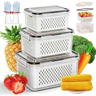 4 In 1 Food Storage Container, Fruit Storage Containers for Fridge, Household Transparent Plastic Fo