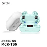 【CY 呈云】TS6愛芭斯汀真無線藍牙耳機(藍牙5.0 台灣製造)
